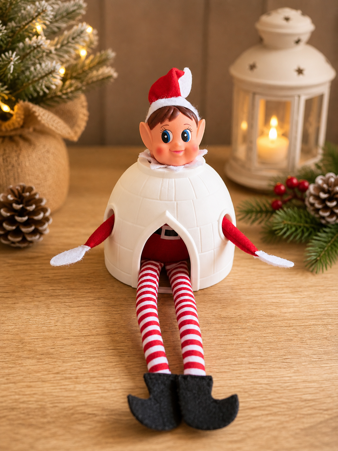 Elf igloo (elf not included)